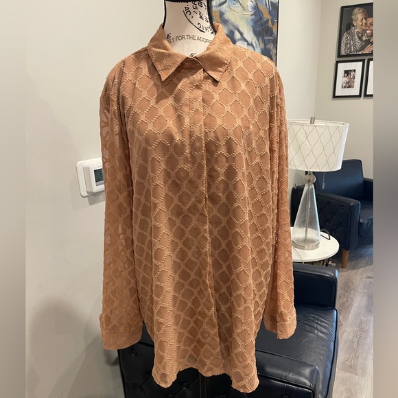 Textured Button-Up Long Sleeve Blouse - Size 2XL - Picture 2 of 3